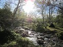 kesä 2011 338